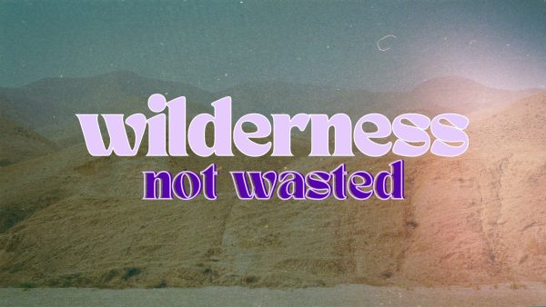 Wilderness Not Wasted - Part 1 Image